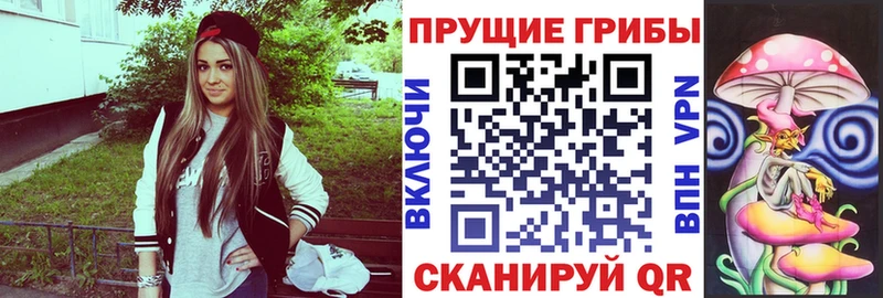 Псилоцибиновые грибы мицелий  Зерноград 